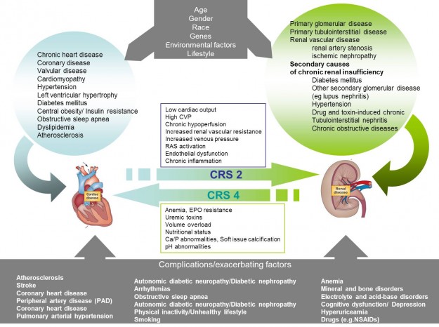 CARRE_Newsletter_2014_03_05_MedicalDomain_im01